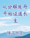 从分解废丹开始证道长生