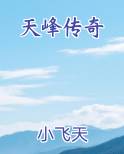 天峰传奇小说