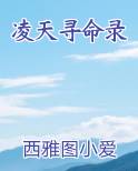 凌天寻命录