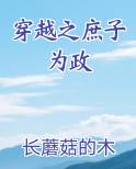 穿越之庶子为政