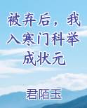 被弃后，我入寒门科举成状元