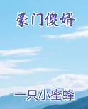 豪门傻婿全集免费
