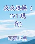 网络用语次次是什么意思啊