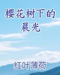 樱花树下的晨光