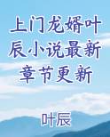 上门龙婿叶辰小说最新章节更新小说全文免费阅读