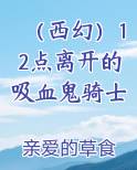 （西幻）12点离开的吸血鬼骑士