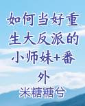 如何当好反派 小说