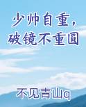 少帅重生