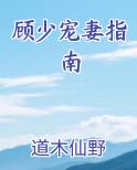 顾少宠妻日常