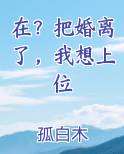 小说把婚离了再去死
