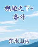 规矩之下+番外