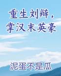 重生刘辩，掌汉末英豪