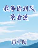 我等你到风景看透