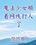 魔法少女顺着网线打人了