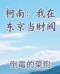 柯南：我在东京当财阀