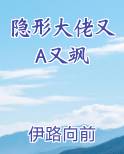 隐形大佬vs大佬
