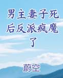 男主妻子死后反派疯魔了小说全文免费阅读