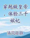 穿越做皇帝，体验三千嫔妃