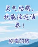 灵气枯竭，我能往返仙界！
