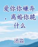 爱你你嫌弃，离婚你跪什么原著小说