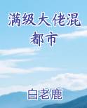 满级大佬混都市
