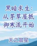 黑暗求生：从茅草屋抵御寒流开始