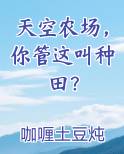 天空农场,你管这叫种田?TXT