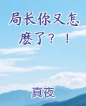 局长想你了