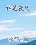 神笔夜叉最新章节免费阅读