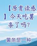 我今天吃了薯条英语