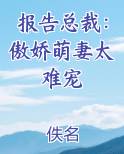 报告总裁：傲娇萌妻太难宠