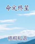 命定终笙