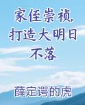 家侄崇祯,打造大明日不落