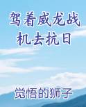 驾着威龙战机去抗日